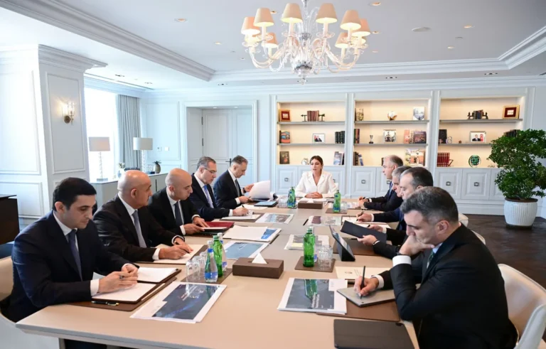 Birinci vitse-prezident Mehriban Əliyevanın sədrliyi ilə Rəqəmsal İnkişaf Şurasının ilk iclası keçirildi