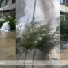 WhatsApp Image 2026 06 28 at 09.19.40
