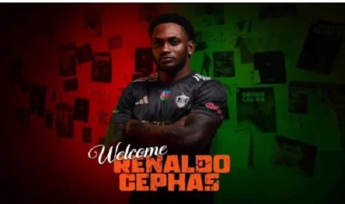 renaldo sefas
