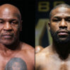 tayson meyvezer