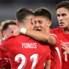 turkiye milli