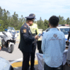ylp