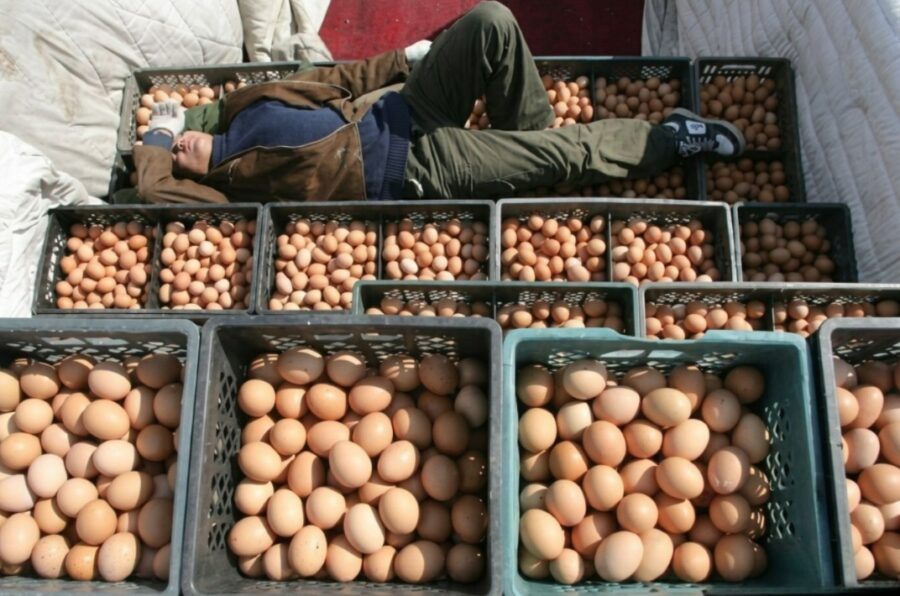 Bakıda 1 qəpiyə satılan yumurta sünidir? – AÇIQLANDI
