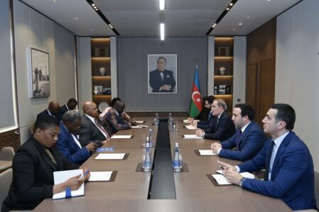 Azərbaycan XİN rəhbəri Zimbabve Milli Assambleyasının sədri ilə görüşdü