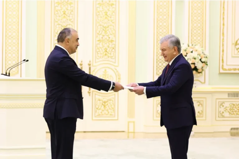 Rəşad Məmmədov etimadnaməsini Mirziyoyevə təqdim etdi