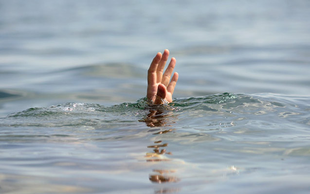 AA 20260718 42009020 42009006 KOSOVALI BUJAR MULI 2 TON AGIRLIGI TASIYARAK GUINNESS REKORLAR KITABINA GIRDI 7