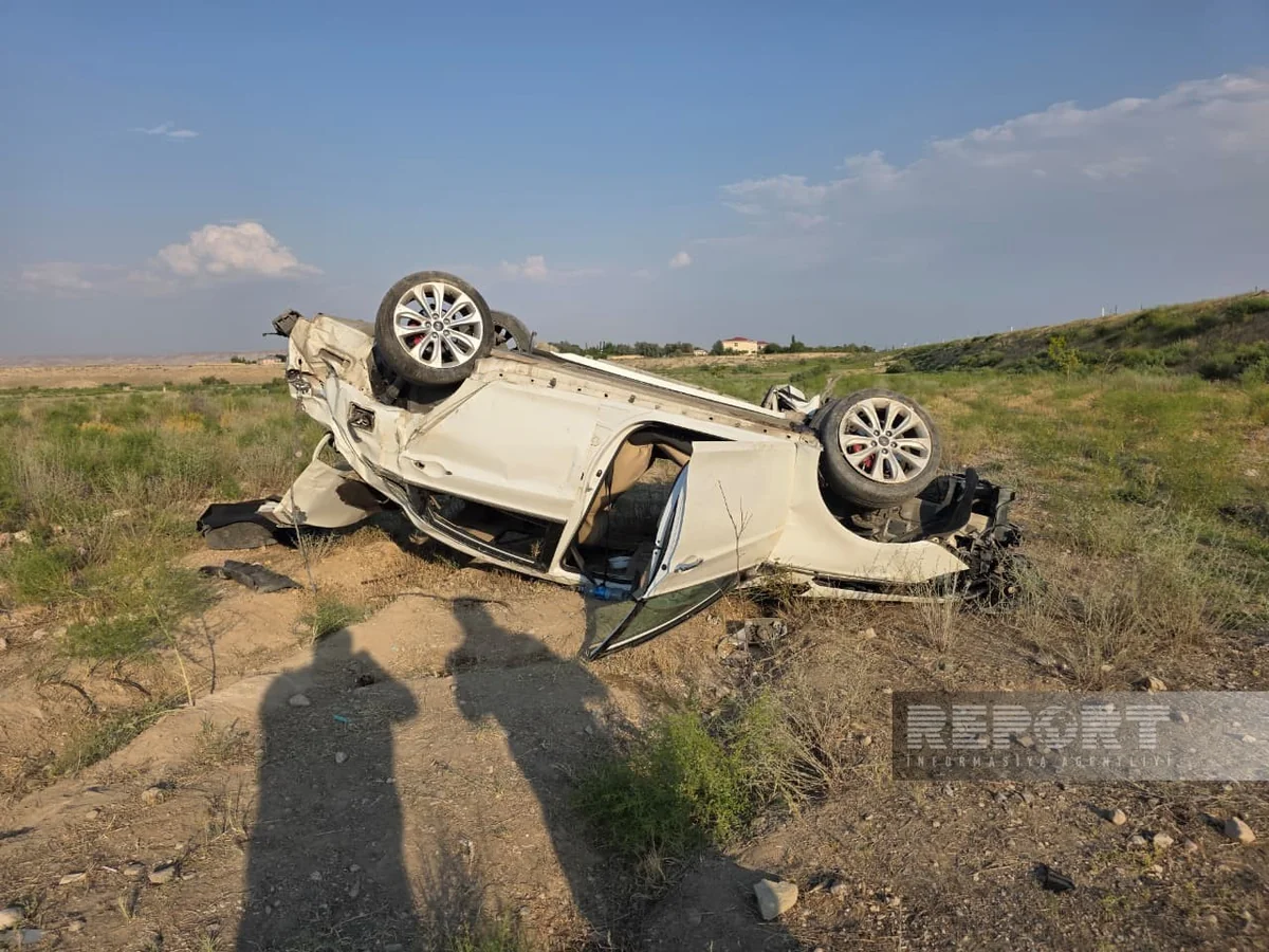 AA 20260718 42009020 42009008 KOSOVALI BUJAR MULI 2 TON AGIRLIGI TASIYARAK GUINNESS REKORLAR KITABINA GIRDI