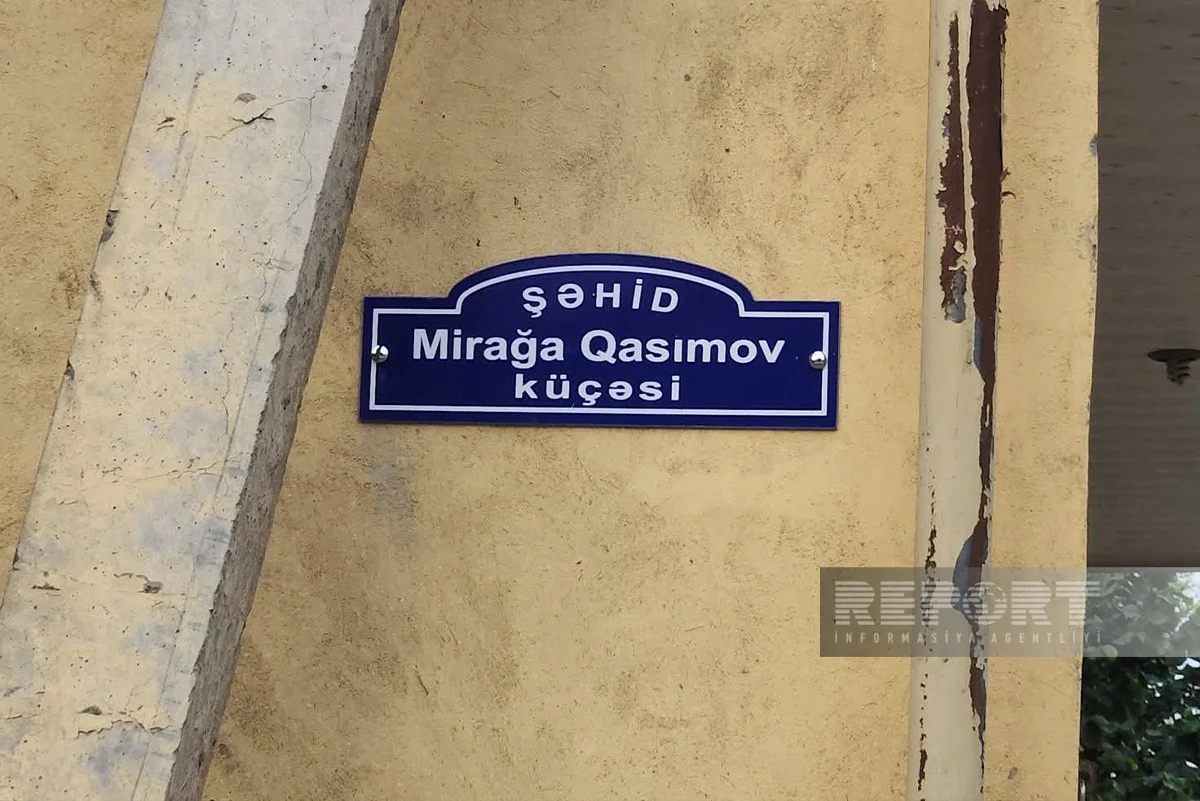 IMG 0096
