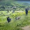 Azərbaycanlılar kəndə girdi, ermənilərin gözü önündə bunu etdi – Sakinlər təəccüb içində