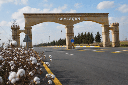 beyleqan pambiq