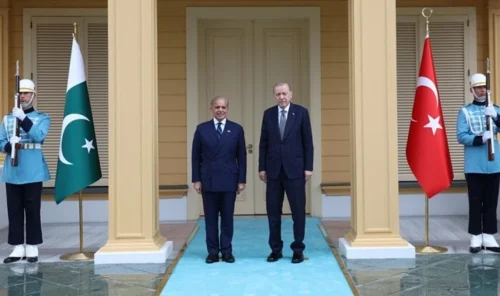 Ərdoğan Şahbaz Şəriflə görüşdü