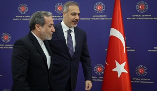 fidan arakci
