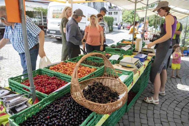 Məşhur yay meyvəsi Avropada 70 manata satılır? – Bahalaşma dalğası bizə də yaxınlaşır