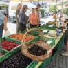 Məşhur yay meyvəsi Avropada 70 manata satılır? – Bahalaşma dalğası bizə də yaxınlaşır
