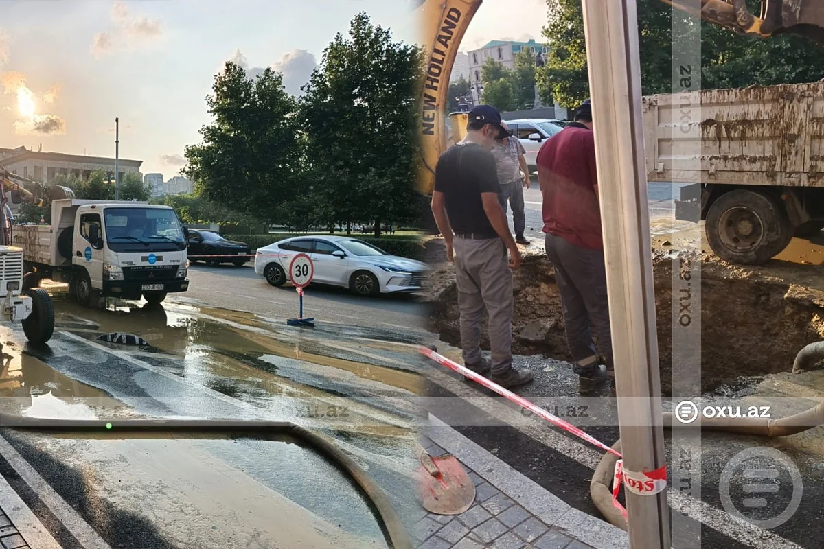 1200 0 1786718330 7546 1