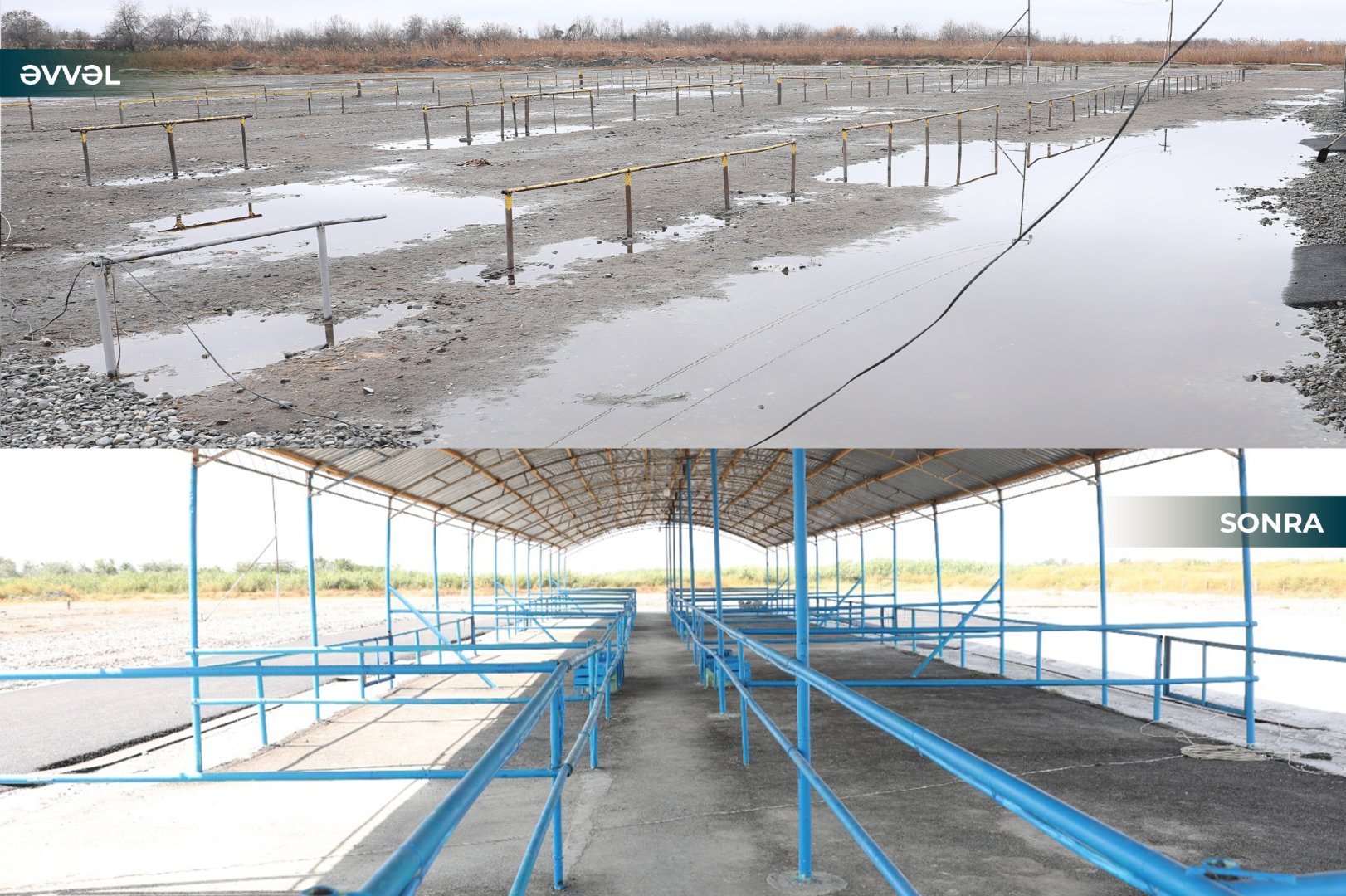 Bazar fəaliyyətini bərpa etdi – FOTOLAR 2 1d9a32a9 1af2 473d bb16 922b19ad5075