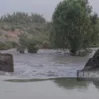 IMG 0307