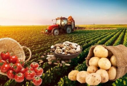 Aqrar subsidiyada yeni dövr – daha çox pul, yoxsa daha çox məhsul?