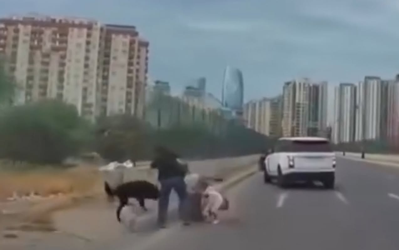 Bakıda sahibsiz it uşaqlı qadına hücum etdi - VİDEO 1 it qadin