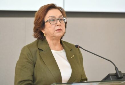 meleyke 1 900x614 2