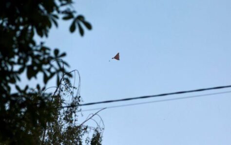 photo 2026 08 13 23 55 17 2 1