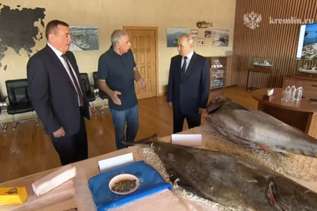 putin