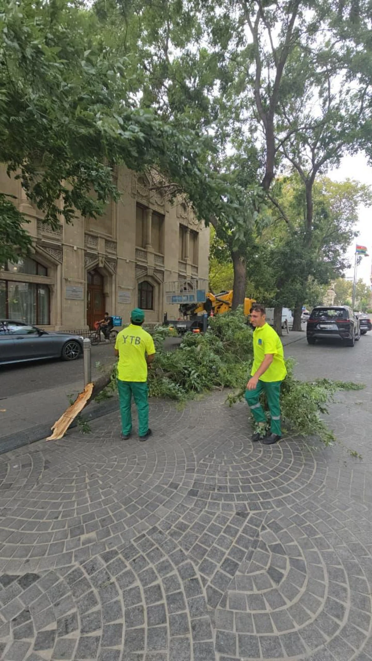 Bakıda külək nəticəsində 15 ağac sınıb – FOTOLAR 6 1788685072832311 MpUFDeB9