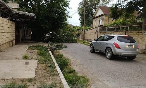 Mingəçevirdə güclü külək ağacları sındırdı