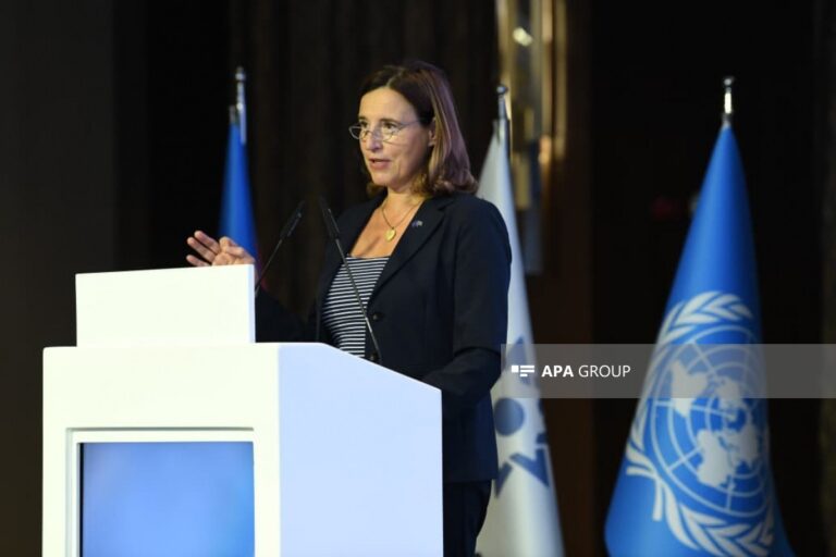 Mina təhlükəsi: Aİ Azərbaycanla əməkdaşlığı davam etdirəcək