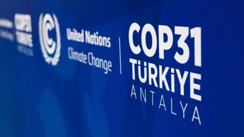 cop31