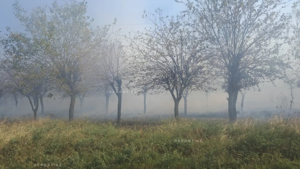 Ağcabədidə yanğın var - FOTOLAR 2 ff 12