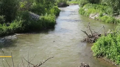 hekeri cayi