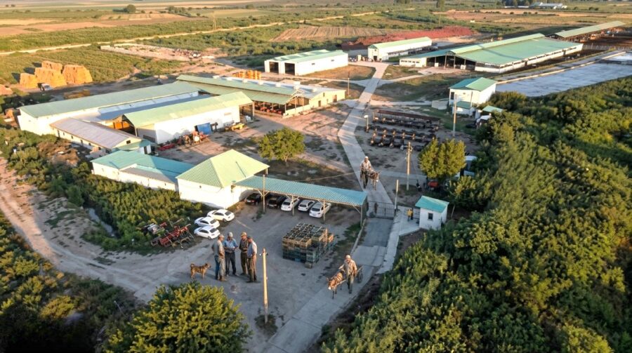 300-dən çox vətəndaş “Globalinfo”ya müraciət etdi – “Simmental” və “Holstein” istəyirlər