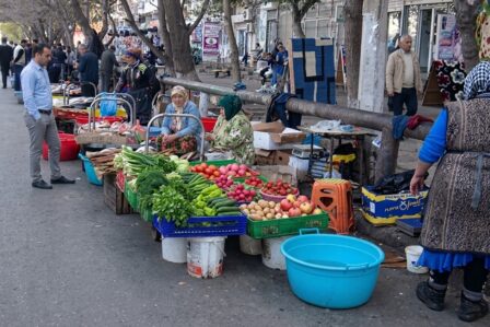 kuce tricareti 11