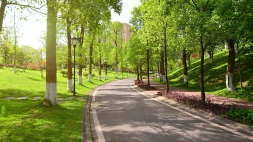 park 1