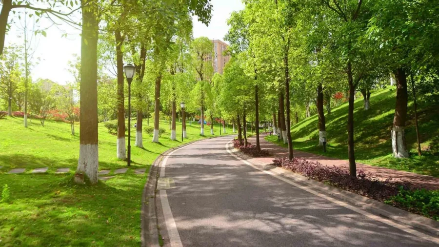 park 1