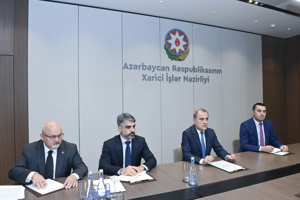 Ceyhun Bayramov İsveçin yeni səfiri ilə görüşdü - FOTOLAR 3 sk 93