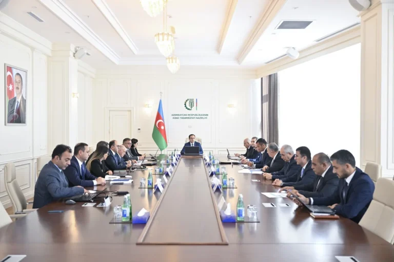 Fermerlərə yeni dövlət dəstəyi mexanizmləri təsdiqləndi