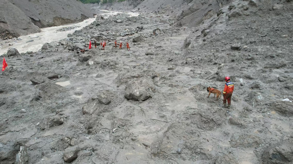 torpaq surusme tibet