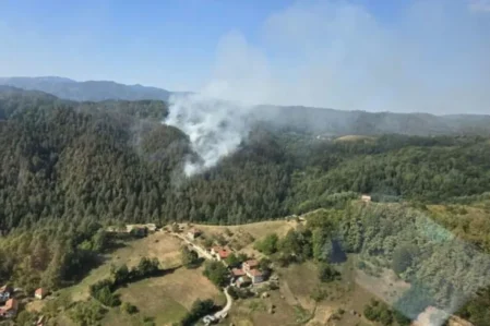 Bosniyada başlayan meşə yanğınları Xorvatiyaya keçib