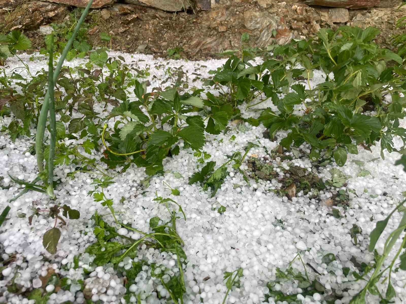 Zaqatalaya güclü leysan və dolu yağdı 1 38819