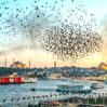 İstanbuldan Bakıya hücumun arxasında kimlər var? – Sensasion DETALLAR