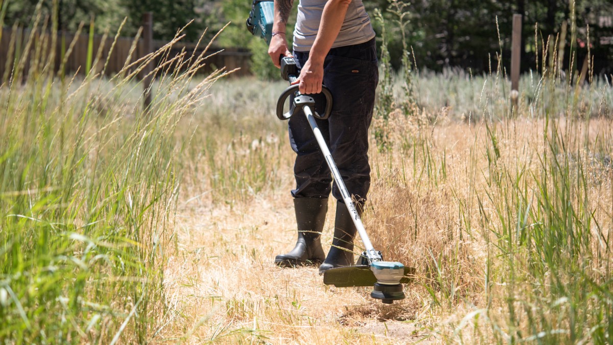 how to clean dried grass from weed eater 1706035953