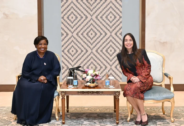 Leyla Əliyeva Zimbabvenin birinci xanımı ilə görüşdü