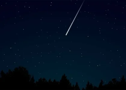 orionid