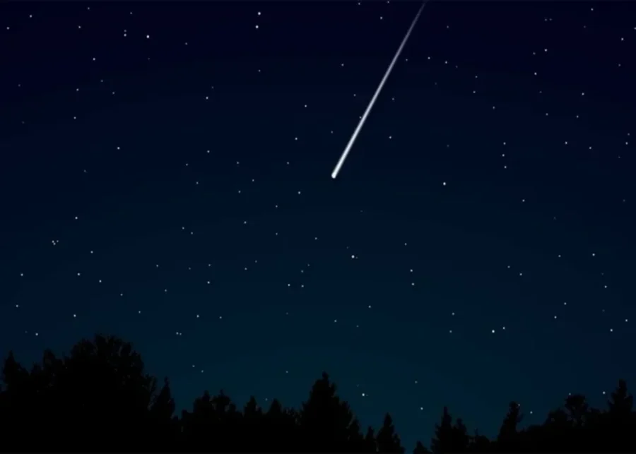 orionid