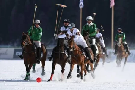 polo
