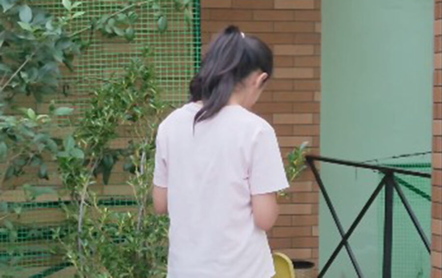 qiz 14
