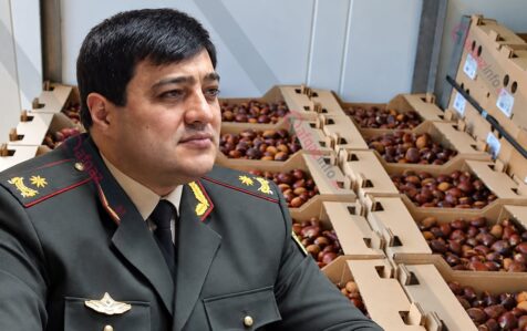 zeynalov sabalid